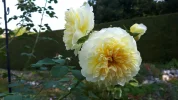 20190901_090500.webp