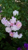 20190901_090415.webp