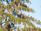 P9020814 (2).webp