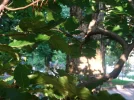sept19 (186).webp