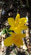 20190905_152214.webp