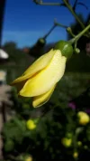 20190910_105948.webp