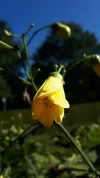 20190910_105908.webp