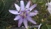 20190909_184935.webp