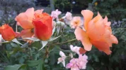 20190909_184856.webp