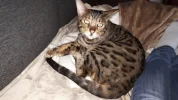 20190910_112049.webp