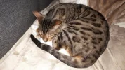 20190910_112122.webp