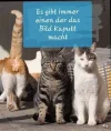 FB_IMG_1568178809130.webp