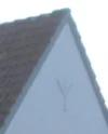 DSCN2389.webp