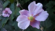 20190911_165816.webp