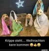 FB_IMG_1568220188571.webp