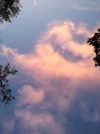 IMG_20190911_193507.webp