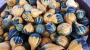 20190911_174743.webp
