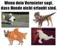 FB_IMG_1568301780336.webp