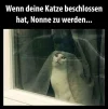 FB_IMG_1568294346833.webp
