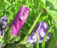 IMG_3227 (2).webp
