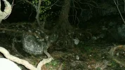 photo.webp