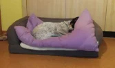 20190913_011940.webp
