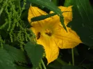 DSCN1338.webp