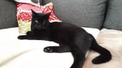 20190914_164645.webp