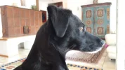 20190914_164232.webp