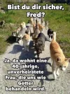 FB_IMG_1568480296587.webp