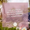 77 Scheiss drauf rosa.webp