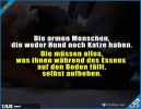 FB_IMG_1568527084367.webp