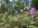 DSC03207.webp