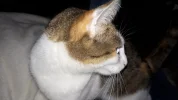20190914_182921-3456x1944.webp
