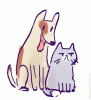 tumblr_n4lpm1epKB1qdwchqo1_400.gif