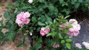 20190917_115530.webp