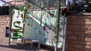 20190913_170124.webp