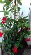 20190920_124953.webp