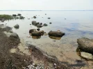 P8250662 (2).webp