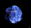 FABERGE 200919_4.webp