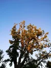 IMG_20190921_234109.webp