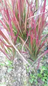 20190922_151707.webp