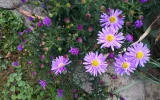 20190922_151750.webp