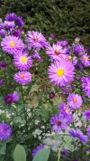 20190922_151739.webp