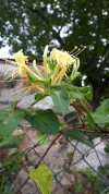 20190922_154858.webp