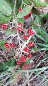 20190922_154418.webp