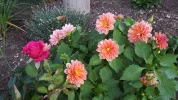 20190924_115355.webp
