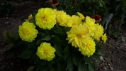 20190924_115343.webp