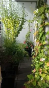 20190924_160549_resized.webp