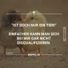 post2.webp