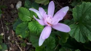 20190927_154217.webp
