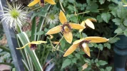 20190927_154128.webp