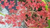20190927_153950-3456x1944.webp