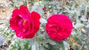 20190927_154004-3456x1944.webp